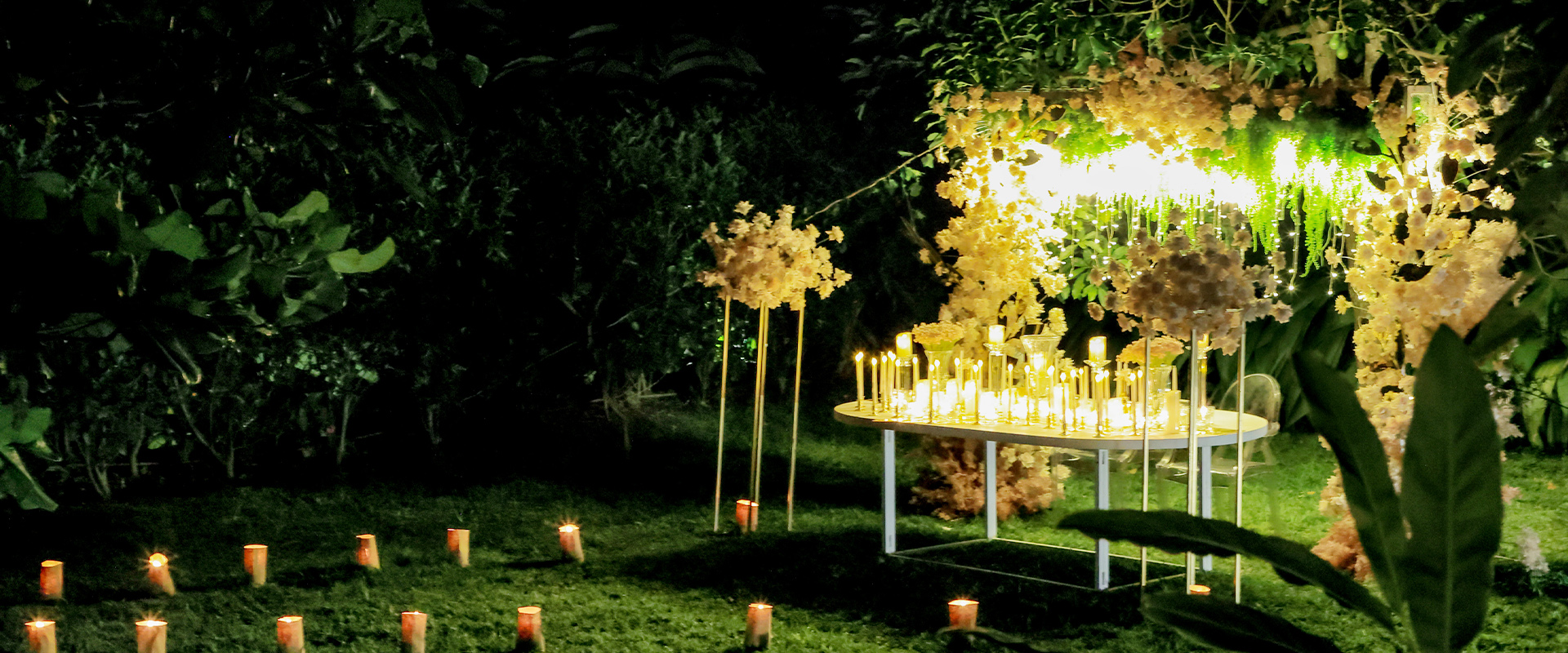 Divine Resort & Spa in pictures Divine Resort & Spa